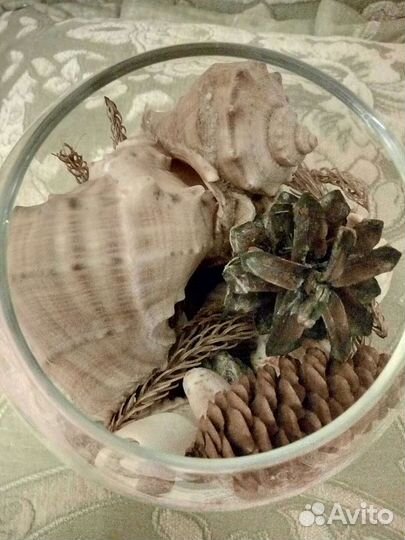 Композиция из ракушек в стекле