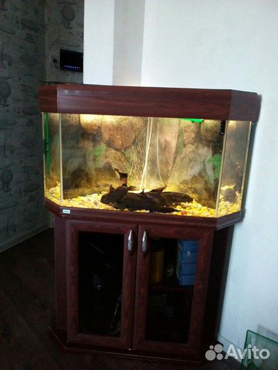 Аквариум