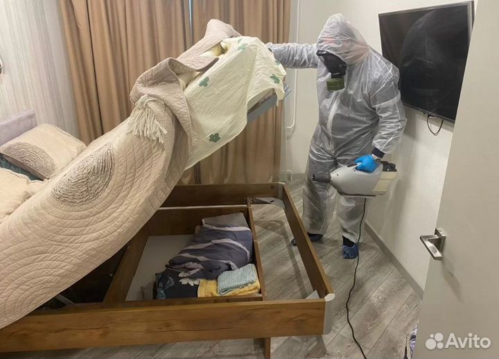 Уничтожение клопов тараканов, Демеркуризация ртути