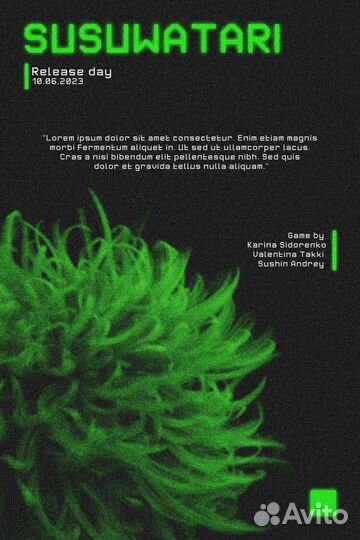 Графический дизайнер