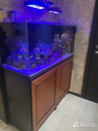 Продам морской аквариум 280 литров