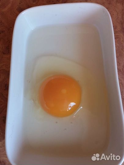 Домашнее куриное яйцо