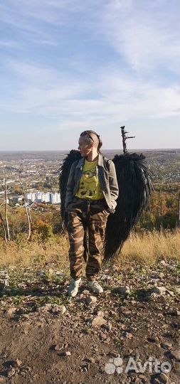 Крылья черные