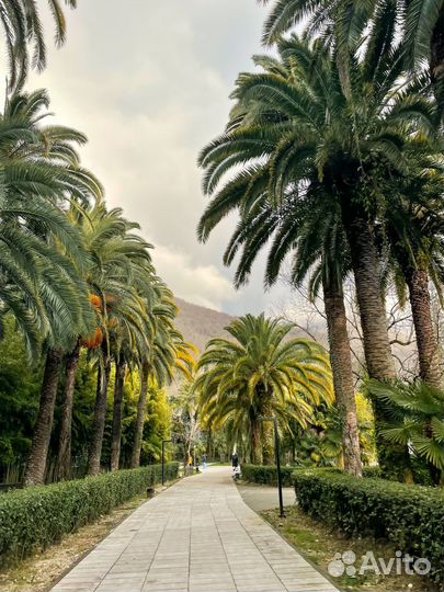 Джип-тур по Абхазии