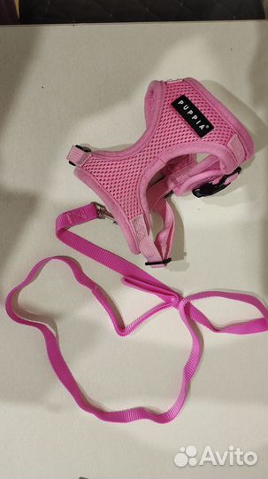 Продам шлейку для маленькой собачки. Размер s