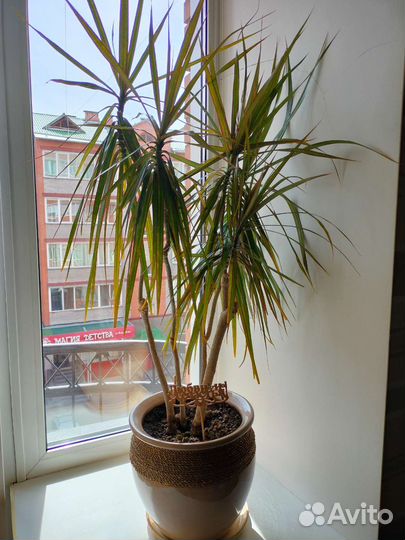 Горшок керамический