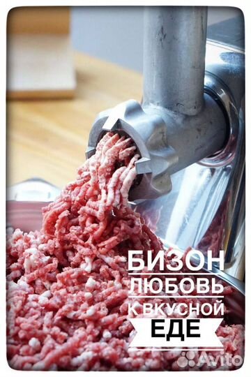 Мясо свинина говядина