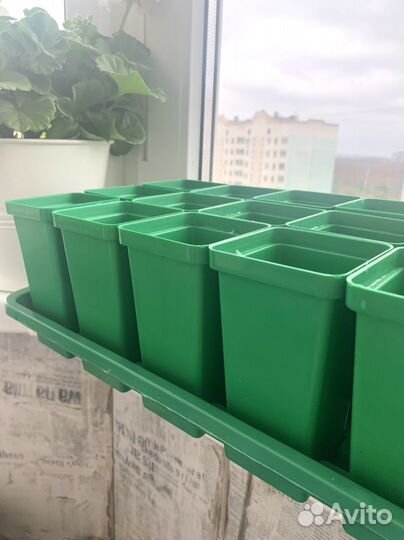 Ячейки для рассады