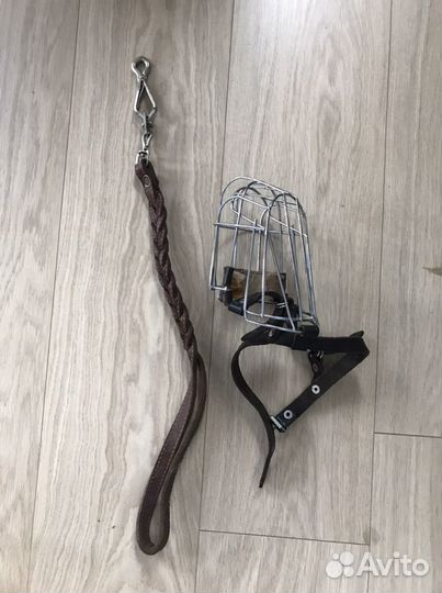 Намордник, поводок