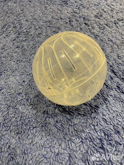 Прогулочный шар для грызунов