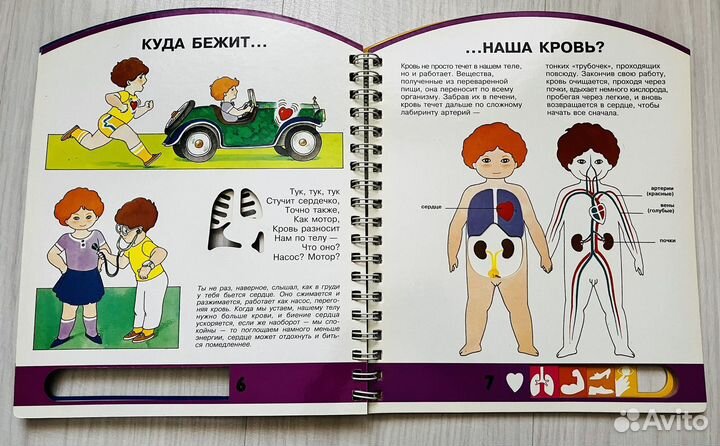 Человек, окошки в твой мир