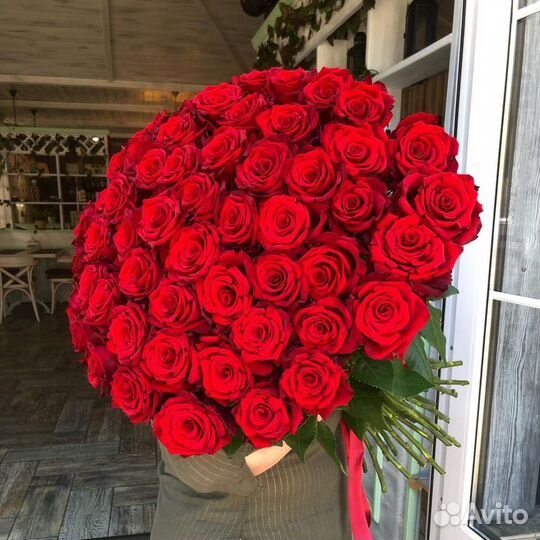 Роза Эквадор. Цветы с Доставкой