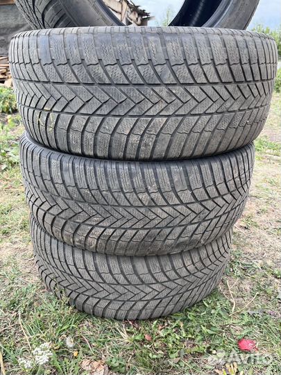 Bridgestone Blizzak LM005 DriveGuard 255/50 R19 107V