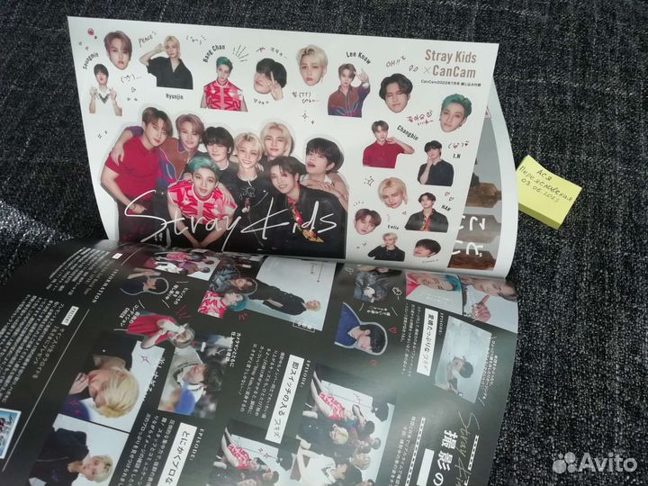 Карты и яп. журнал Stray Kids