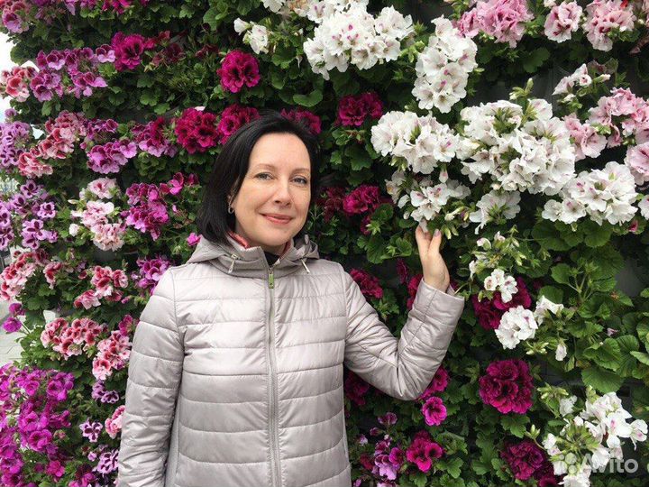 Обучение английскому для путешествий