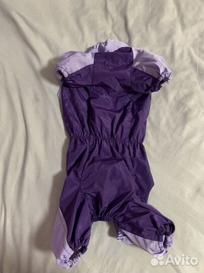 Костюм для собак