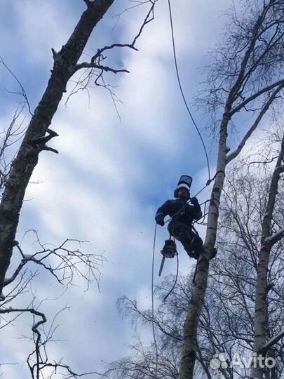 Спил деревьев Корчевка Расчистка участков