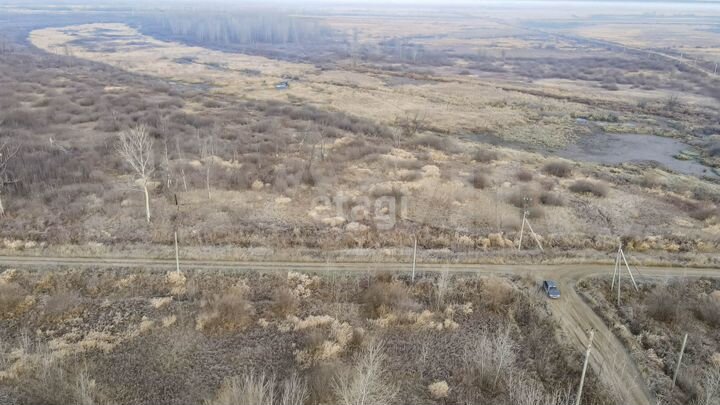 Участок 36,2 сот. (СНТ, ДНП)