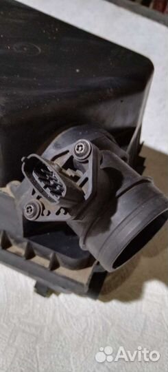 Дмрв Вортекс Эстина, Черри фора