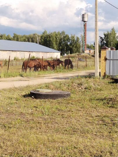 Участок 10 сот. (ИЖС)