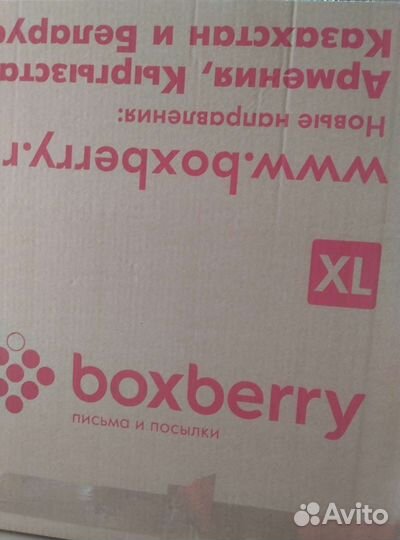 Женская одежда