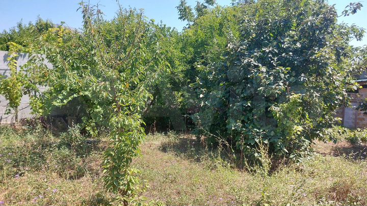 Участок 9,3 сот. (СНТ, ДНП)