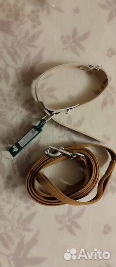 Поводок и ошейник для собаки