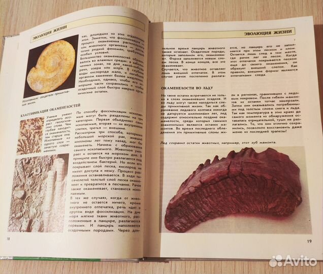 Большая энциклопедия природы для детей