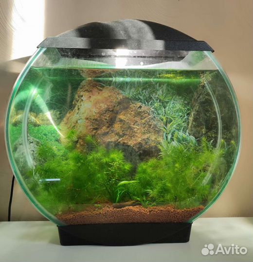 Аквариум