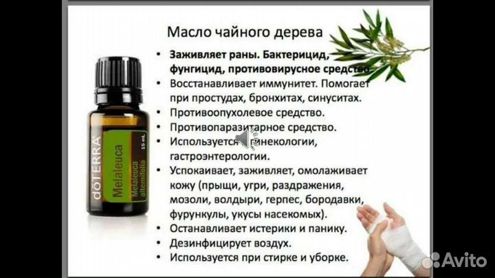 Чайное дерево эфирное масло