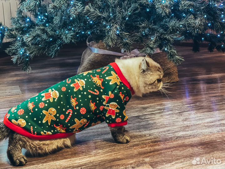 Свитер для животных
