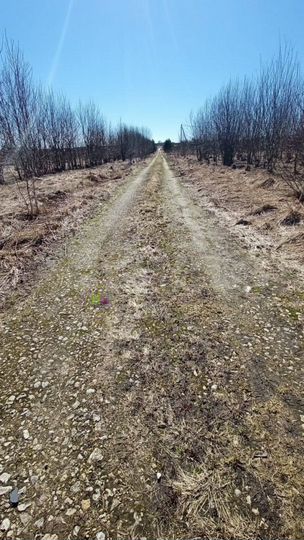 Участок 9,1 сот. (ИЖС)
