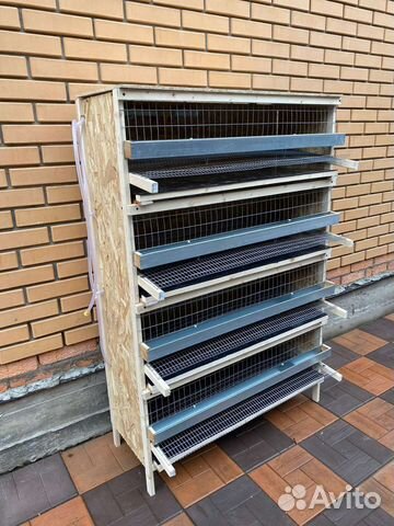 Клетки для перепелов