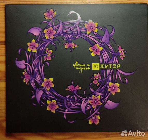 Ю-Питер Бутусов 