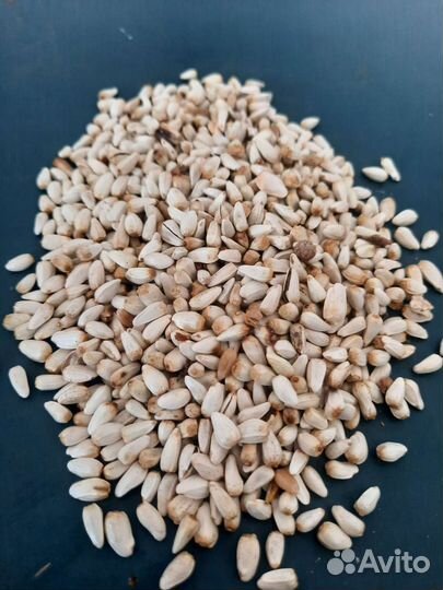 Просо сафлор рапс лен суданка растаропша канареечн