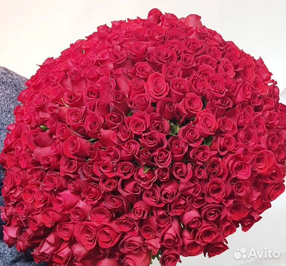 Букет роз.Доставка цветов