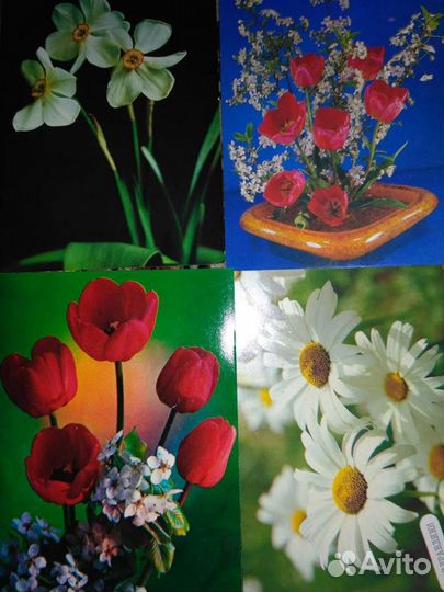 Открытки СССР