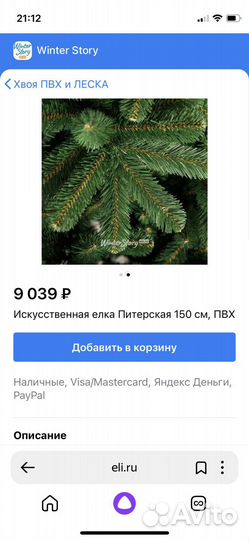 Ёлка Питерская зеленая