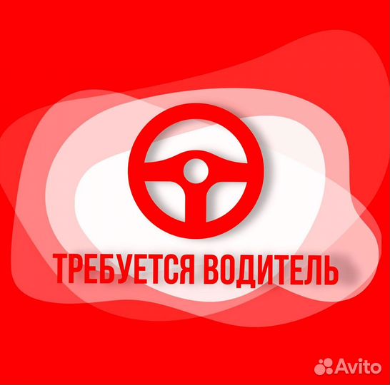 Водитель в компанию