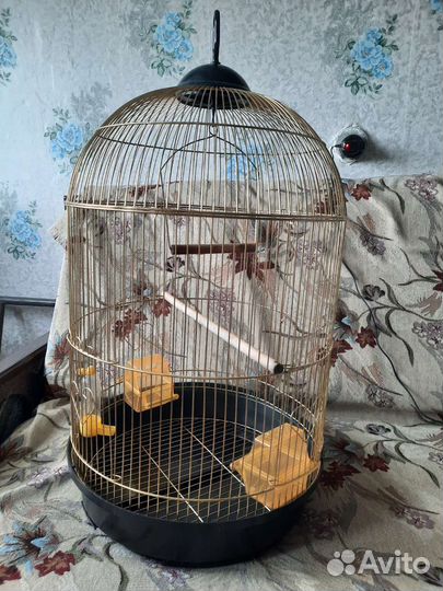 Клетка для попугая бу