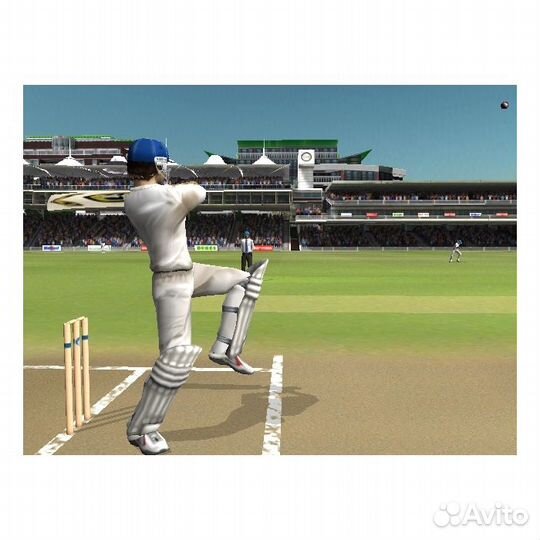 Brian Lara International Cricket 2005 (Xbox)