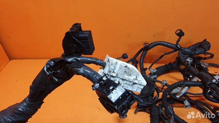 Проводка моторная Infiniti Fx35 S51 3.5 2009