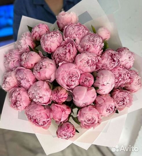 Пионы Букет