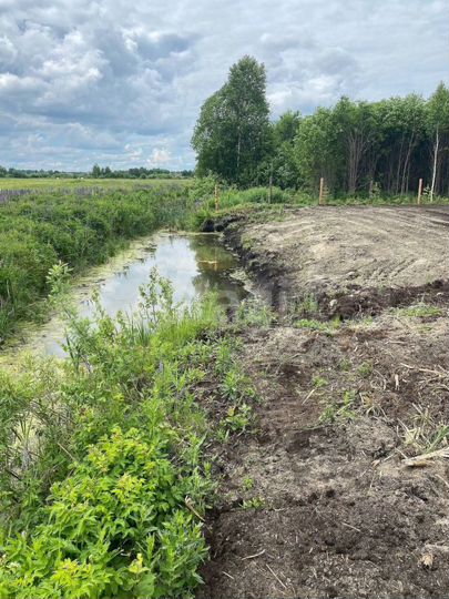 Участок 14,3 сот. (СНТ, ДНП)