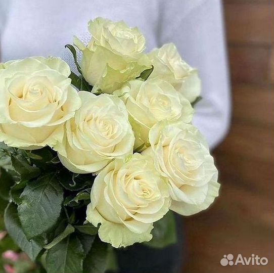 Высокие розы