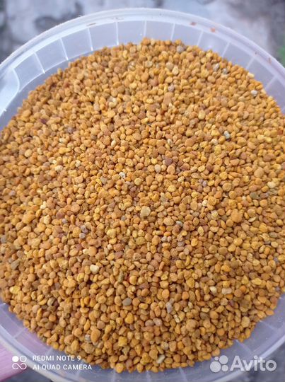 Пыльца цветочная