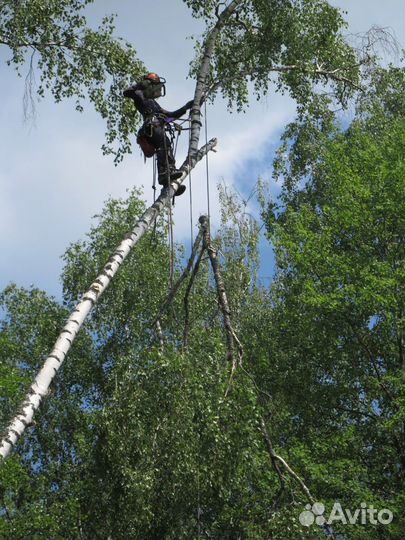 Дрова срезка