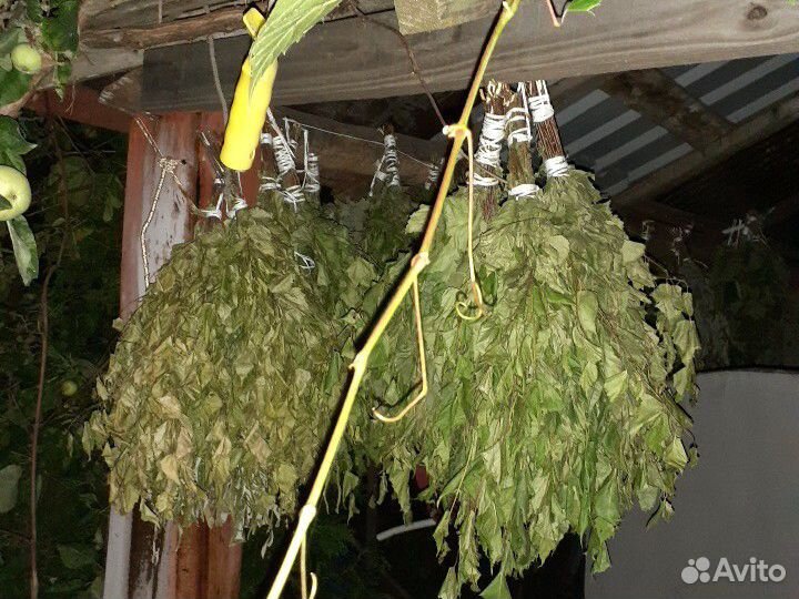 Веники для бани