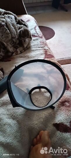 Защитный воротник для домашних животных