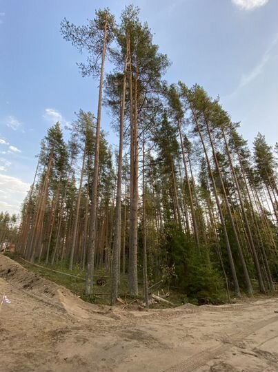 Участок 18,2 сот. (ИЖС)